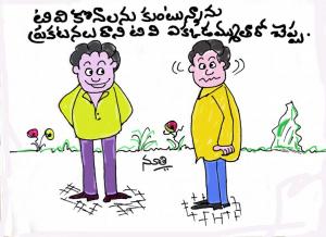 టివి