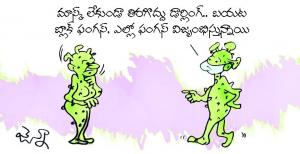 ఫంగస్