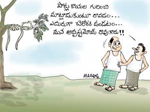 పొట్లకాయలు